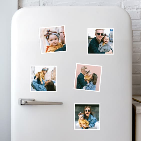 Magnets Photo - 4
